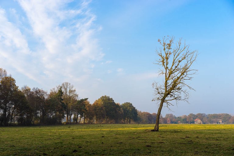 Bissendorfer Moor, Weg