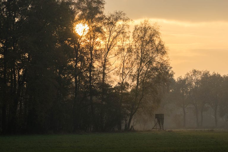 Fotodatei: bissendorfer-moor-103