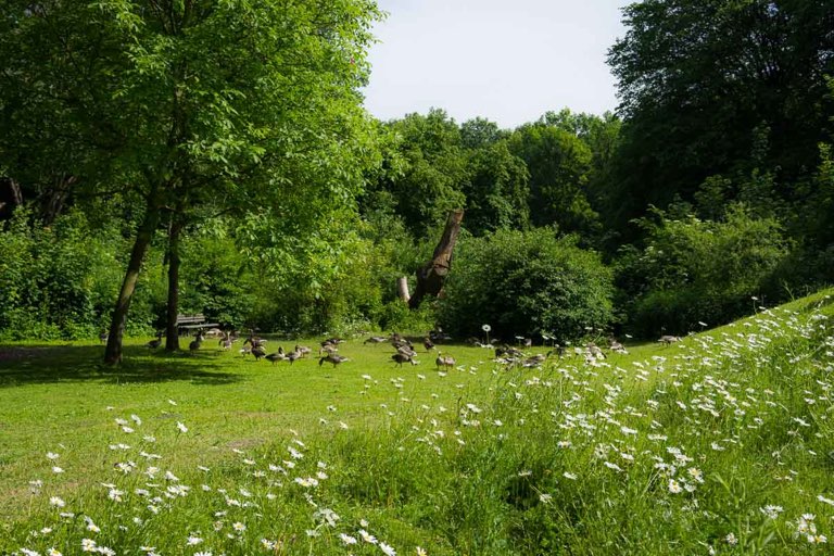 Hermann-Löns-Park