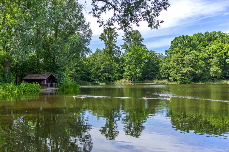 Hermann-Löns-Park, Annateiche