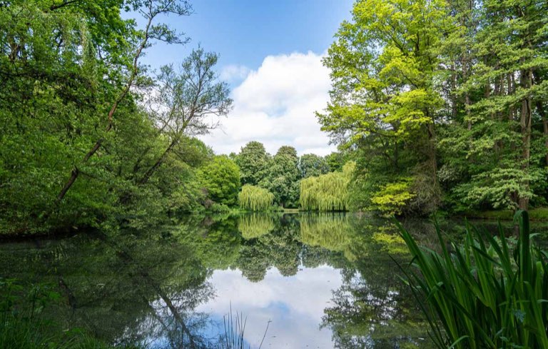 Burgdorfer Stadtpark