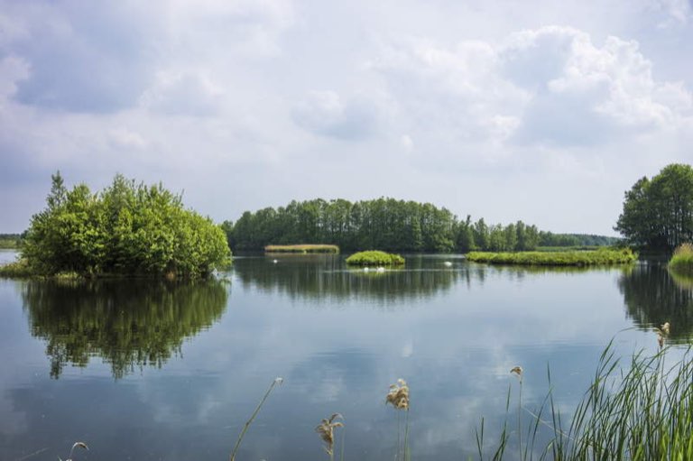 Fotodatei: spiegelung-101