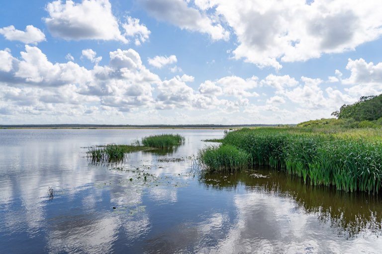 Fotodatei: spiegelung-105