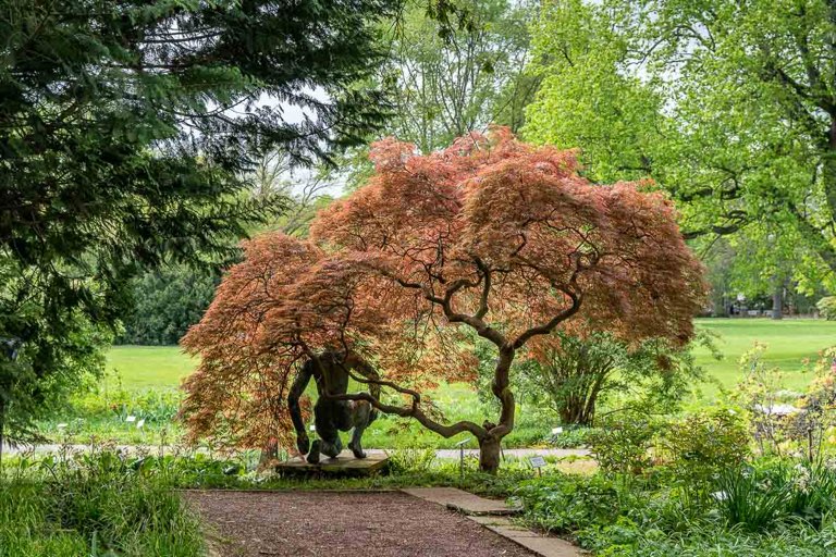 Stadtpark Hannover