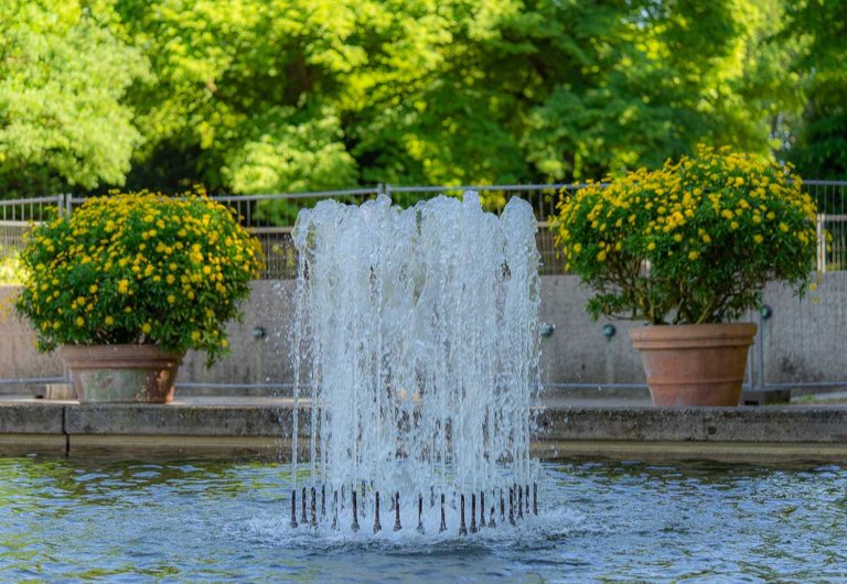 Fotodatei: stadtpark-hannover-101