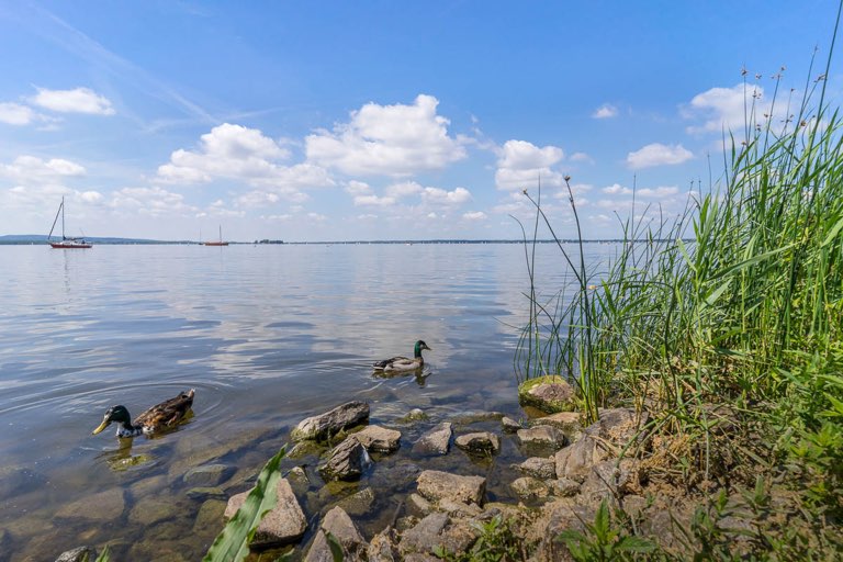 Steinhuder Meer, Steinhude