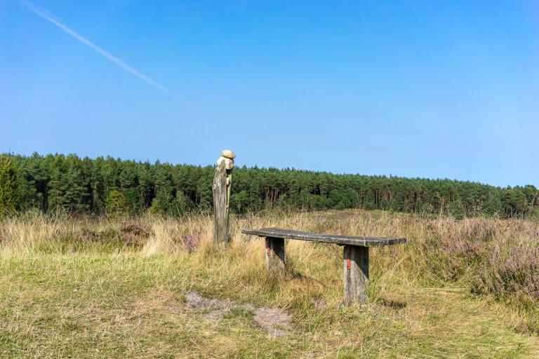 Wilseder Berg, Lüneburger Heide