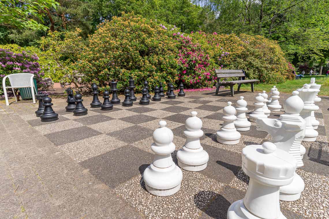 Schachfelder im Stadtpark