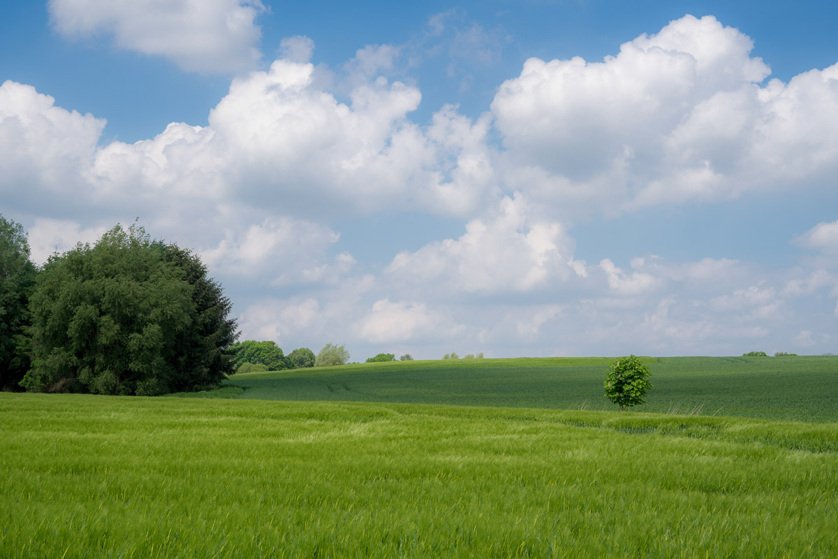 Landschaftsaufnahme mit kleinem Hügel, Die Farben grün und blau dominieren