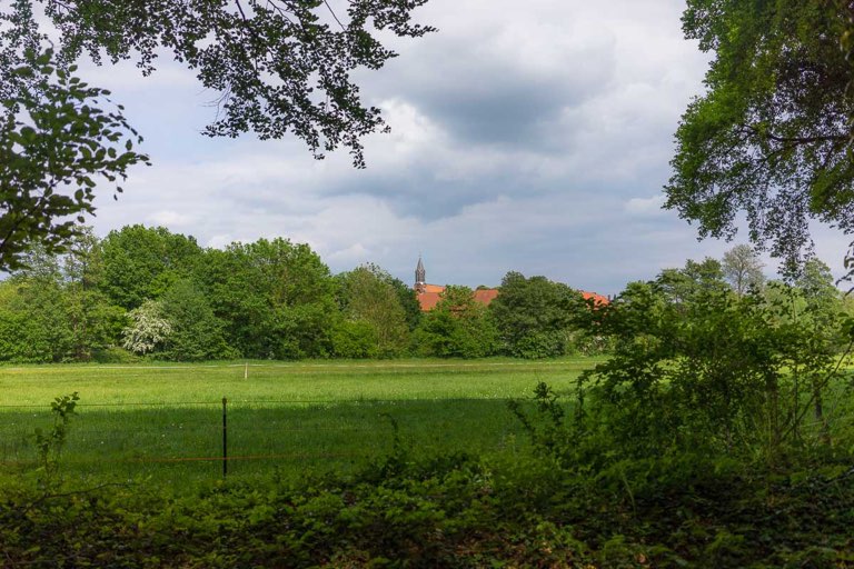 KLoster Mariensee, Spaziergang Felder und Wiesen