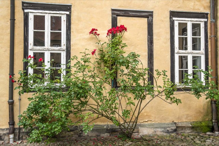 Fotodatei: kloster-mariensee-rosen