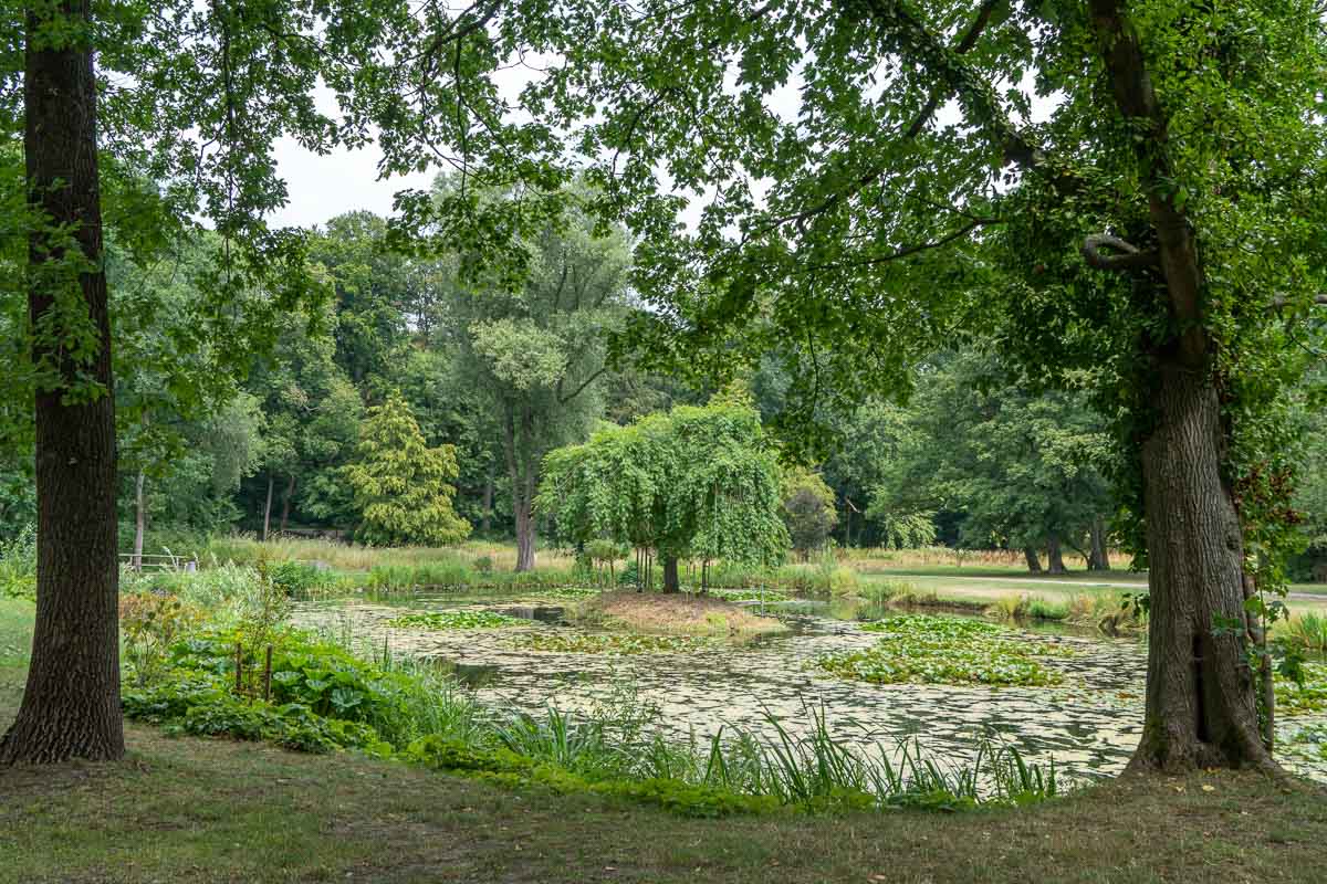 Teich im Hinüberschen Garten
