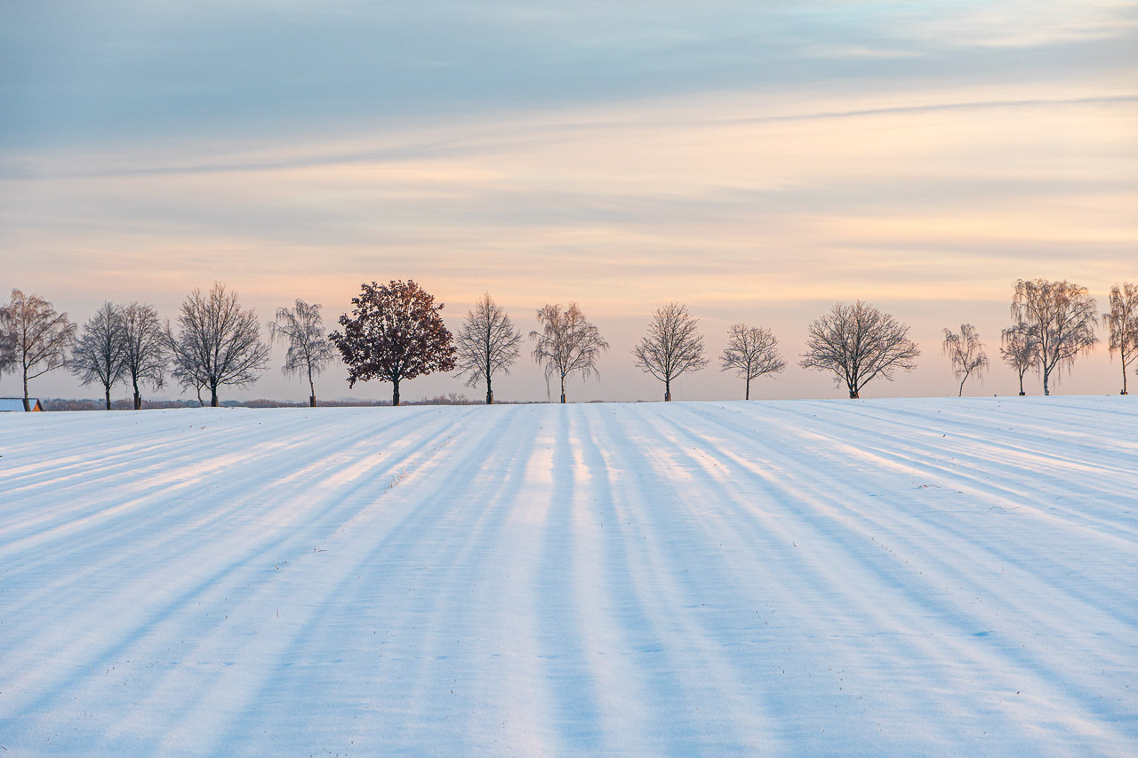 Winter in der Wedemark