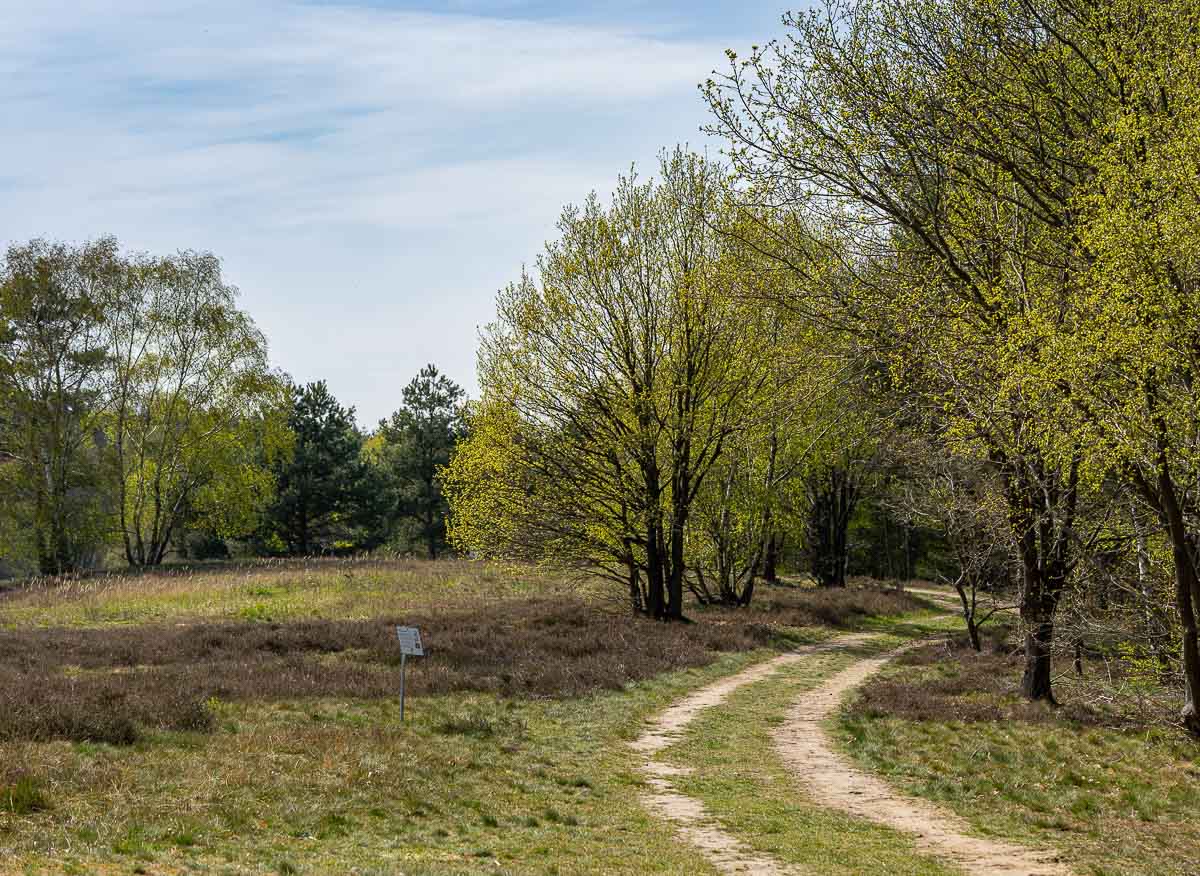 Bewegte Steine Wedemark