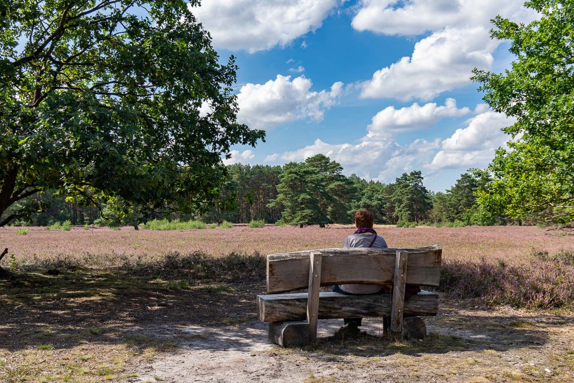 Helstorfer Heide