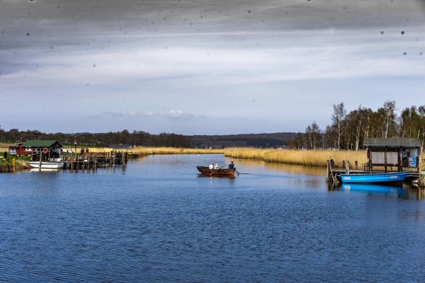 Kategorie - Foto