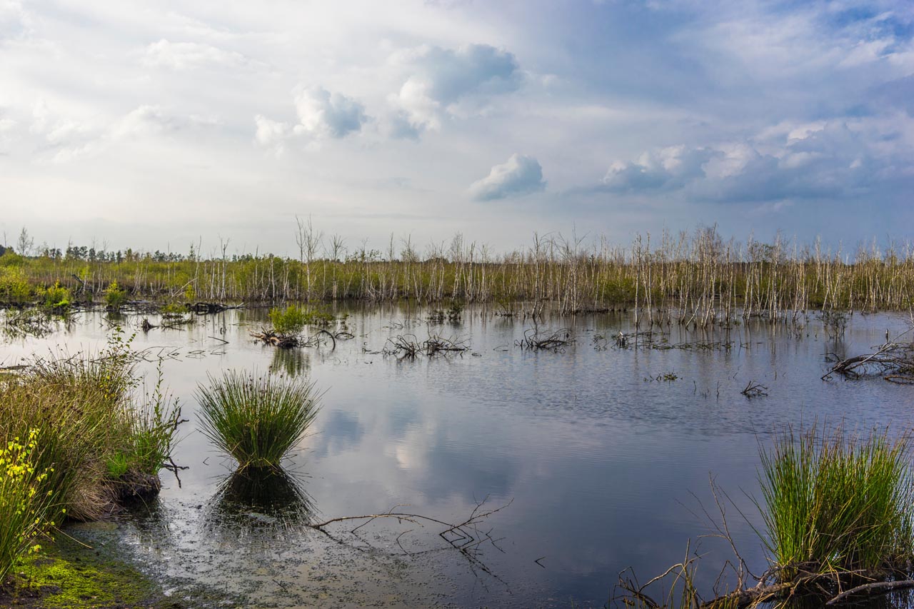 Totes Meer bei Neustadt